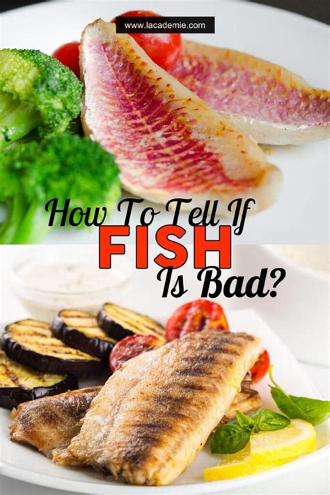 How to Tell If Fish Is Bad .